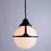 Уличный подвесной светильник Arte Lamp MONACO A1495SO-1BK