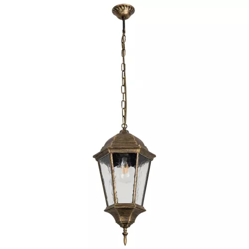 Уличный подвесной светильник Arte Lamp GENOVA A1204SO-1BN