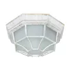 Уличный потолочный светильник Arte Lamp PEGASUS A3121PF-1WG
