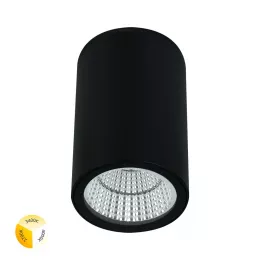 Уличный потолочный светильник Arte Lamp TORCULAR A1307PF-1BK