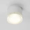 Уличный потолочный светильник Arte Lamp PIAUTOS A1926PF-1WH