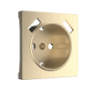 W1179510/ Накладка для розетки USB (шампань рифленый)