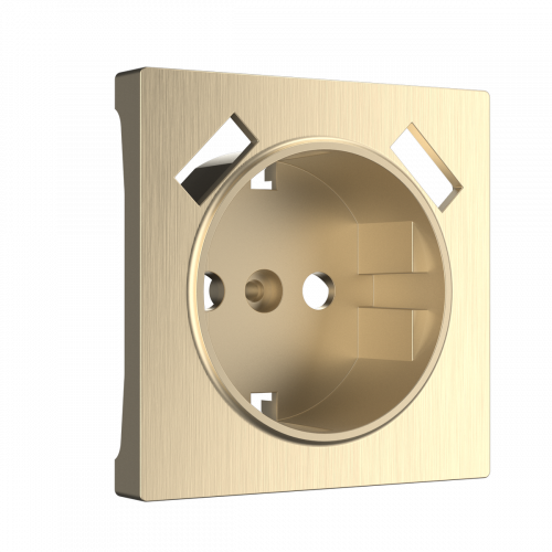 W1179510/ Накладка для розетки USB (шампань рифленый)