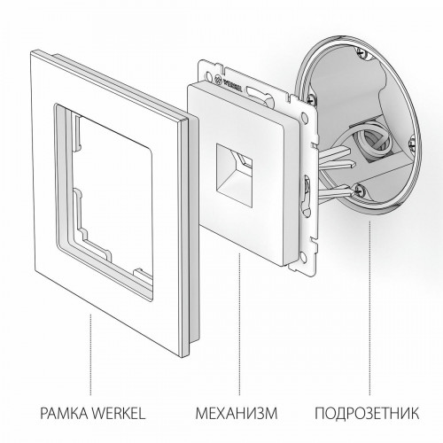W1181011/ Розетка Ethernet RJ-45 (шампань)