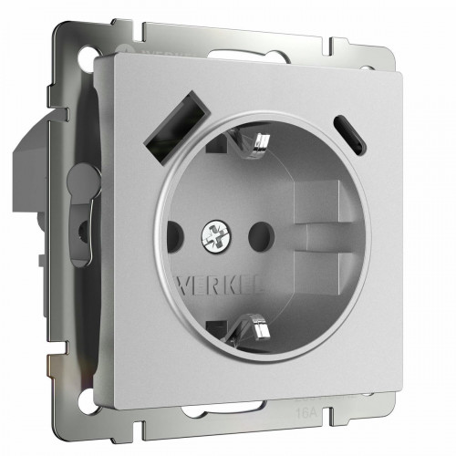 W1171765/ Розетка с заземлением, шторками и USB тип A+C (серебряный матовый)