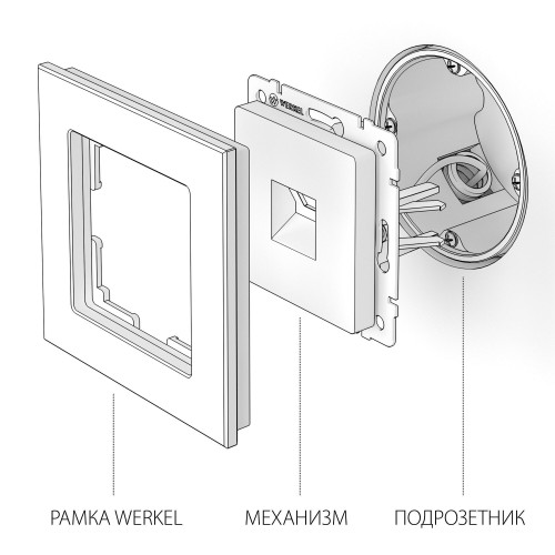 W1181006/ Розетка Ethernet RJ-45 (серебряный)